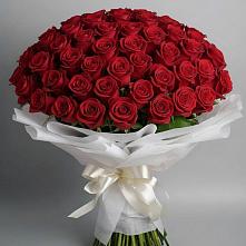 Букет 101 Красная роза Блэк Мэджик в Торопце
