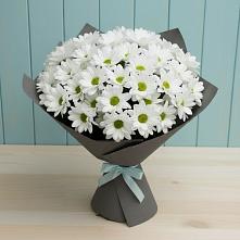 Букет цветов из:  Хризантемы #REPLACE_PRED# Торопце