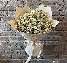 Букет цветов из:  Ромашки в Торопце