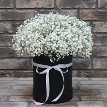 Цветочная композиция из Гипсофила в шляпной коробке в Торопце