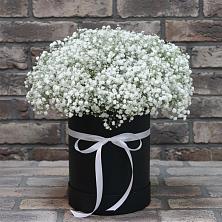 Цветочная композиция из Гипсофила в шляпной коробке в Торопце